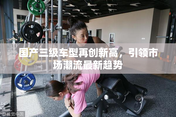 国产三级车型再创新高，引领市场潮流最新趋势