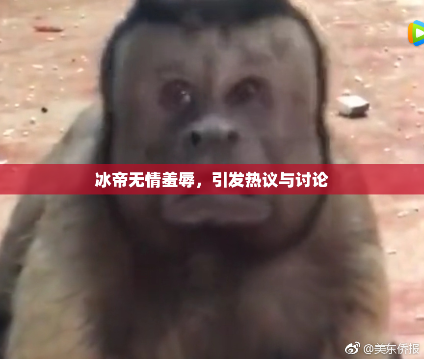 冰帝无情羞辱，引发热议与讨论