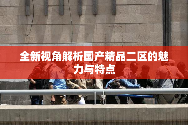 全新视角解析国产精品二区的魅力与特点