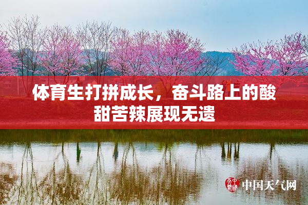体育生打拼成长，奋斗路上的酸甜苦辣展现无遗