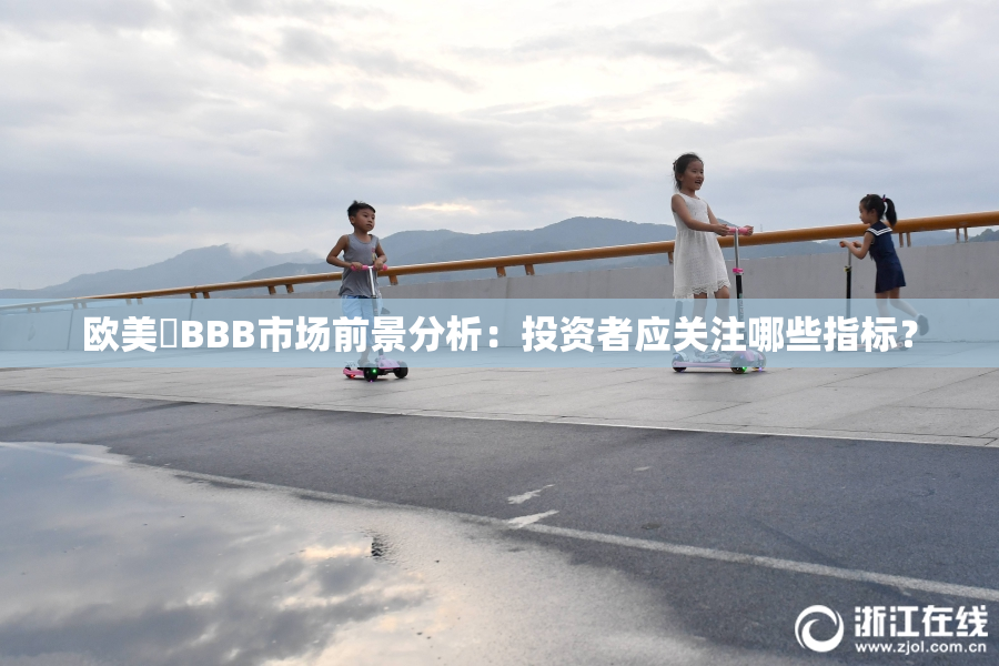 欧美槡BBB市场前景分析：投资者应关注哪些指标？
