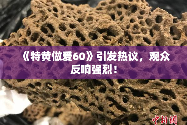 《特黄做爰60》引发热议，观众反响强烈！