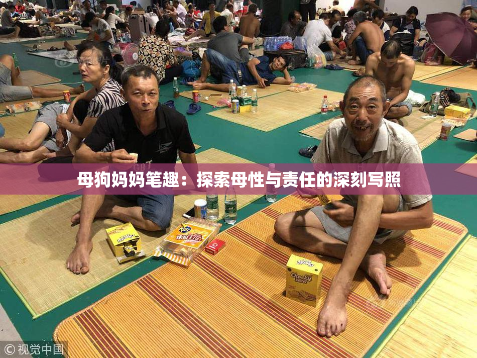 母狗妈妈笔趣：探索母性与责任的深刻写照