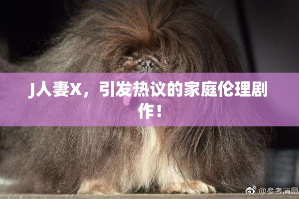 J人妻X，引发热议的家庭伦理剧作！