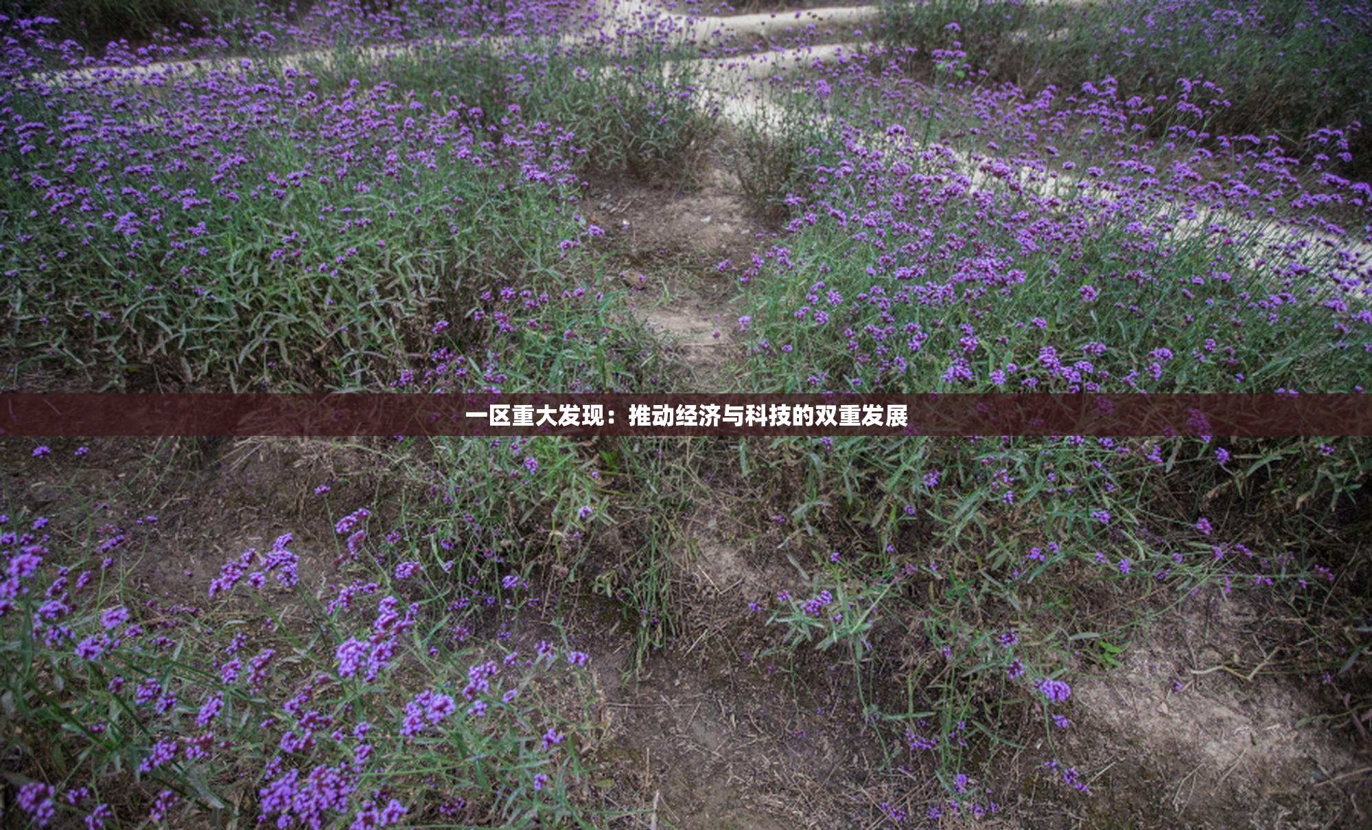 一区重大发现：推动经济与科技的双重发展