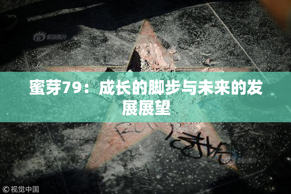 蜜芽79：成长的脚步与未来的发展展望
