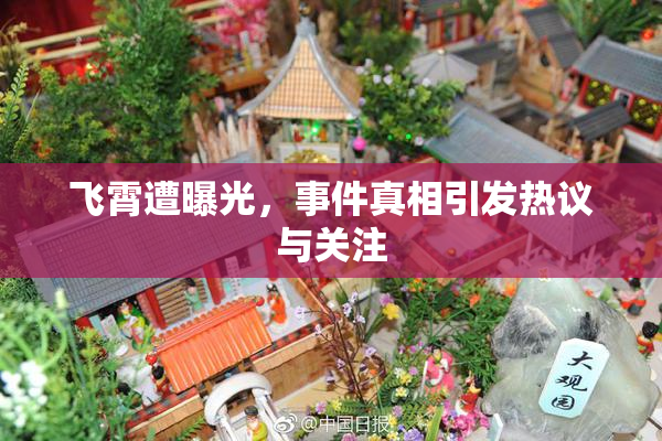飞霄遭曝光，事件真相引发热议与关注