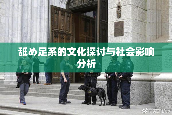 舐め足系的文化探讨与社会影响分析