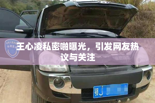 王心凌私密啪曝光，引发网友热议与关注