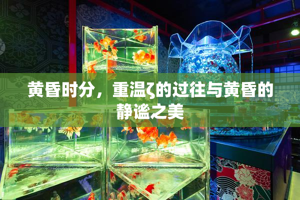 黄昏时分，重温ζ的过往与黄昏的静谧之美