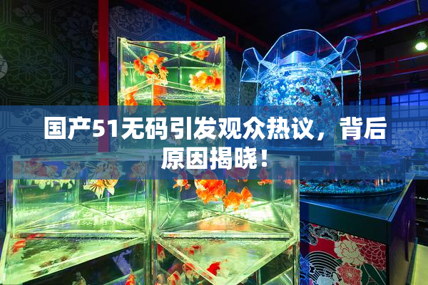 国产51无码引发观众热议，背后原因揭晓！