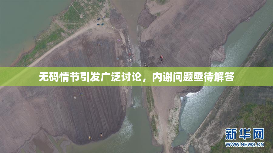 无码情节引发广泛讨论，内谢问题亟待解答