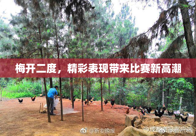 梅开二度，精彩表现带来比赛新高潮