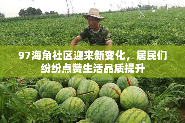 97海角社区迎来新变化，居民们纷纷点赞生活品质提升