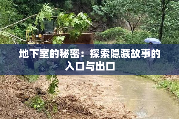 地下室的秘密：探索隐藏故事的入口与出口