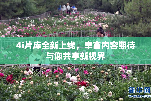 4i片库全新上线，丰富内容期待与您共享新视界