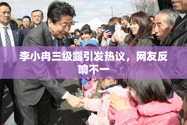 李小冉三级露引发热议，网友反响不一