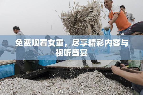 免费观看女重，尽享精彩内容与视听盛宴