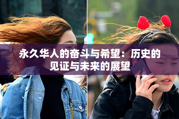 永久华人的奋斗与希望：历史的见证与未来的展望