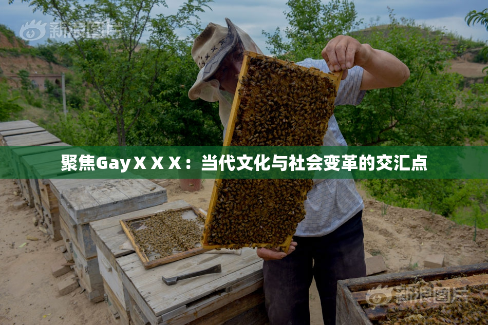 聚焦GayⅩⅩⅩ：当代文化与社会变革的交汇点