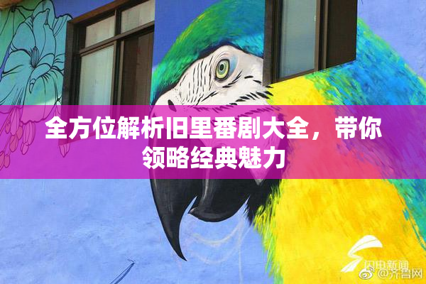 全方位解析旧里番剧大全，带你领略经典魅力