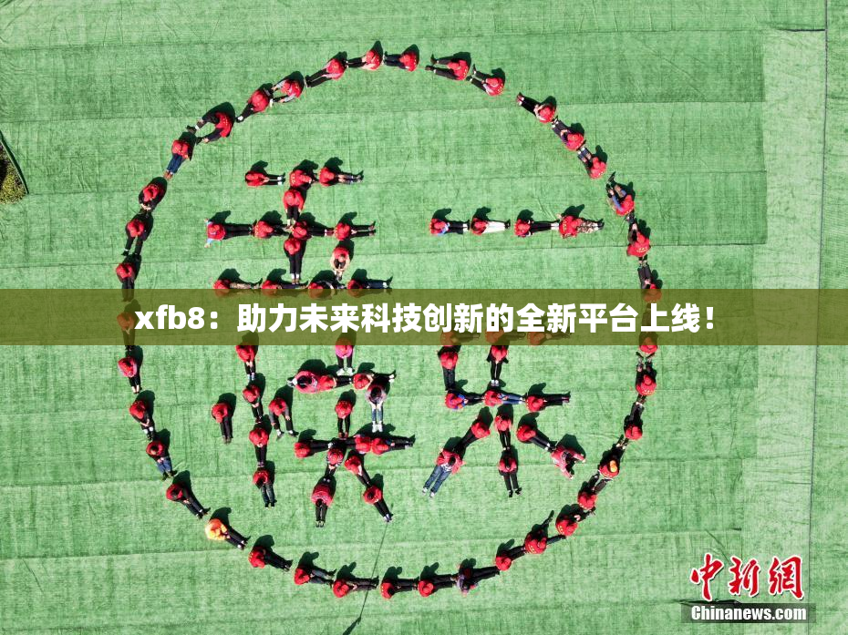 xfb8：助力未来科技创新的全新平台上线！