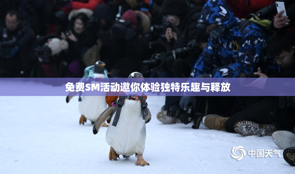 免费SM活动邀你体验独特乐趣与释放