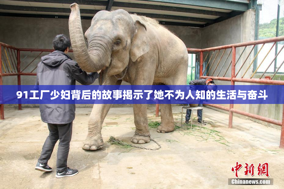 91工厂少妇背后的故事揭示了她不为人知的生活与奋斗