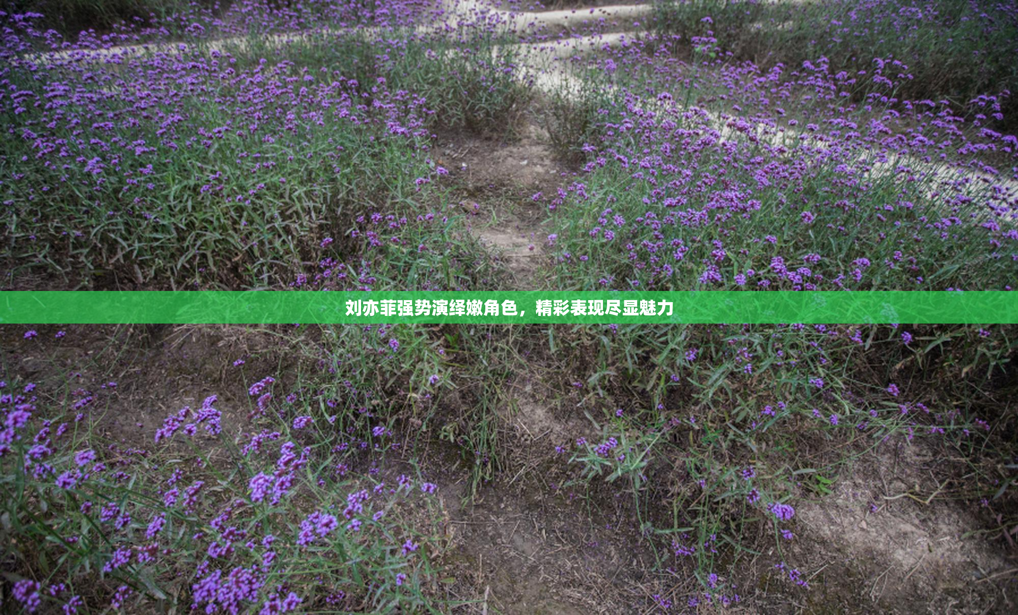 刘亦菲强势演绎嫩角色，精彩表现尽显魅力