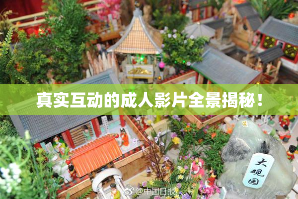 真实互动的成人影片全景揭秘！