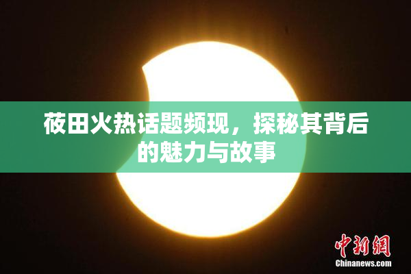 莜田火热话题频现，探秘其背后的魅力与故事