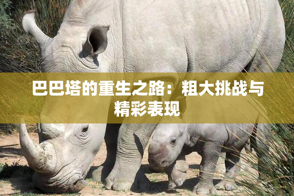 巴巴塔的重生之路：粗大挑战与精彩表现