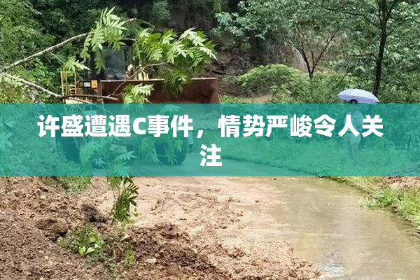 许盛遭遇C事件，情势严峻令人关注