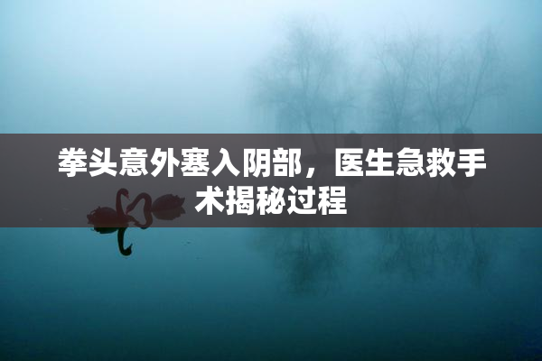 拳头意外塞入阴部，医生急救手术揭秘过程