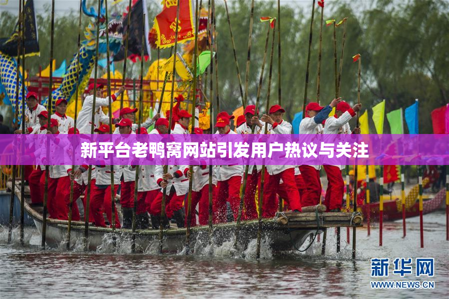 新平台老鸭窝网站引发用户热议与关注
