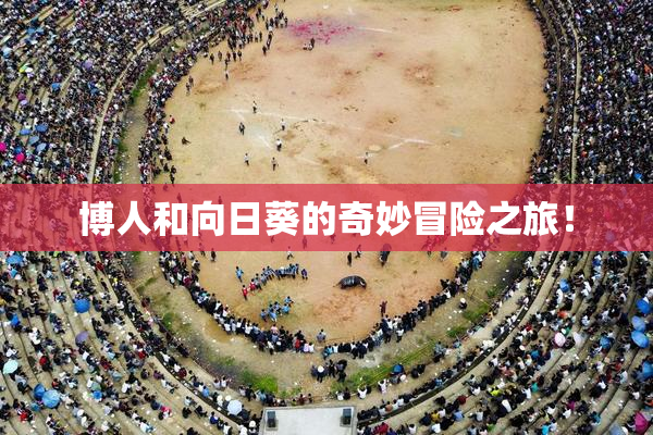 博人和向日葵的奇妙冒险之旅！
