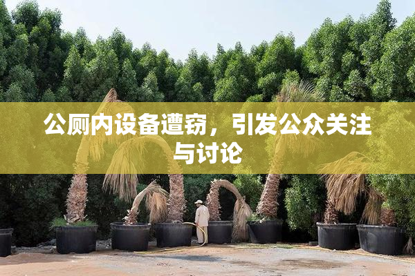 公厕内设备遭窃，引发公众关注与讨论