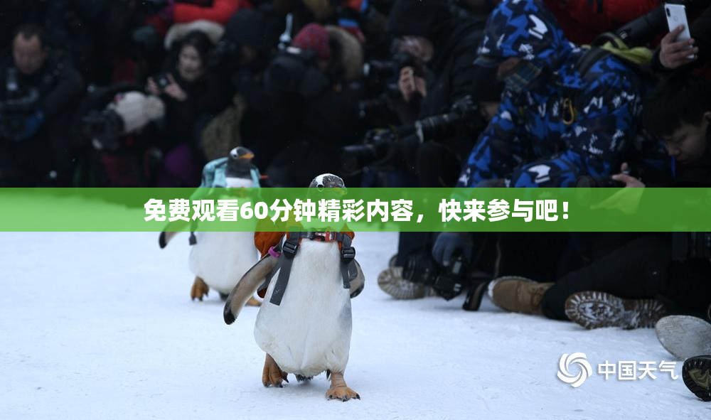 免费观看60分钟精彩内容，快来参与吧！