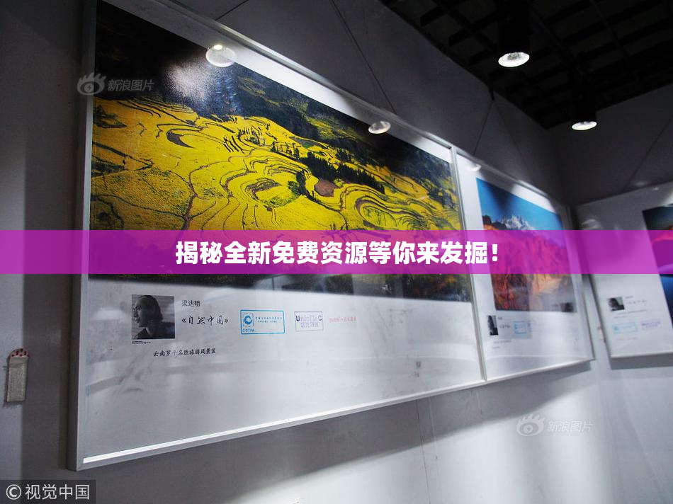 揭秘全新免费资源等你来发掘！
