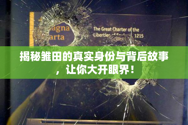 揭秘雏田的真实身份与背后故事，让你大开眼界！