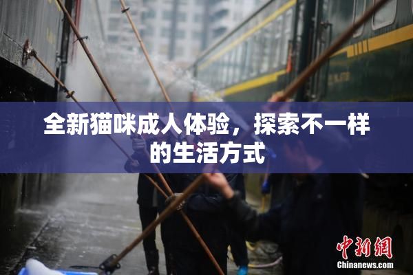 全新猫咪成人体验，探索不一样的生活方式