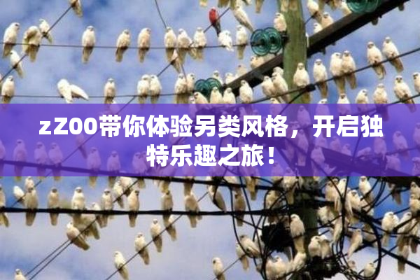 zZ00带你体验另类风格，开启独特乐趣之旅！