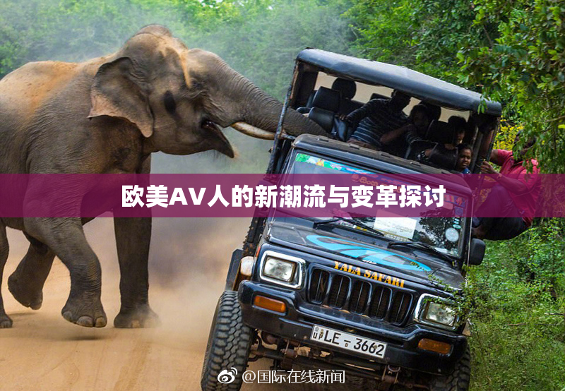 欧美AV人的新潮流与变革探讨