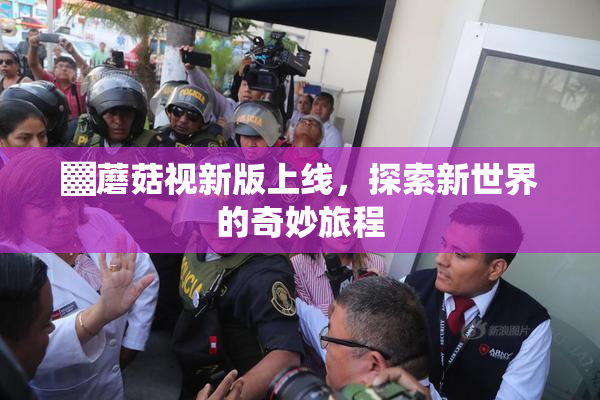 ▓蘑菇视新版上线，探索新世界的奇妙旅程