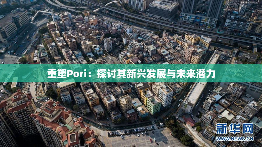 重塑Pori：探讨其新兴发展与未来潜力