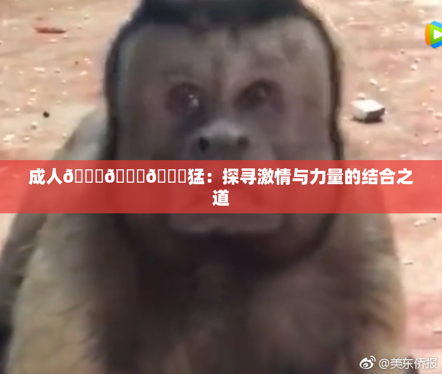 成人🍆🍑🔞猛：探寻激情与力量的结合之道