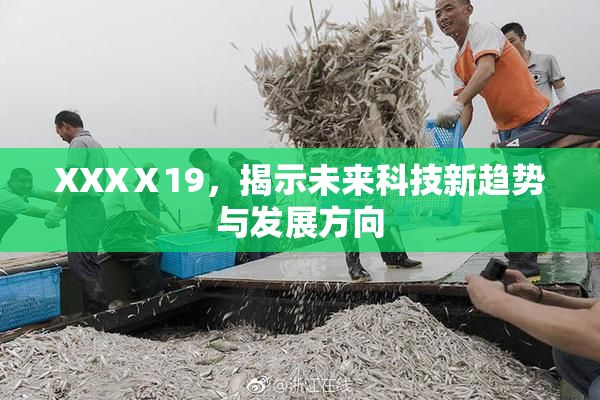 XXXⅩ19，揭示未来科技新趋势与发展方向