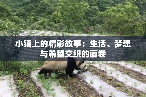 小镇上的精彩故事：生活、梦想与希望交织的画卷