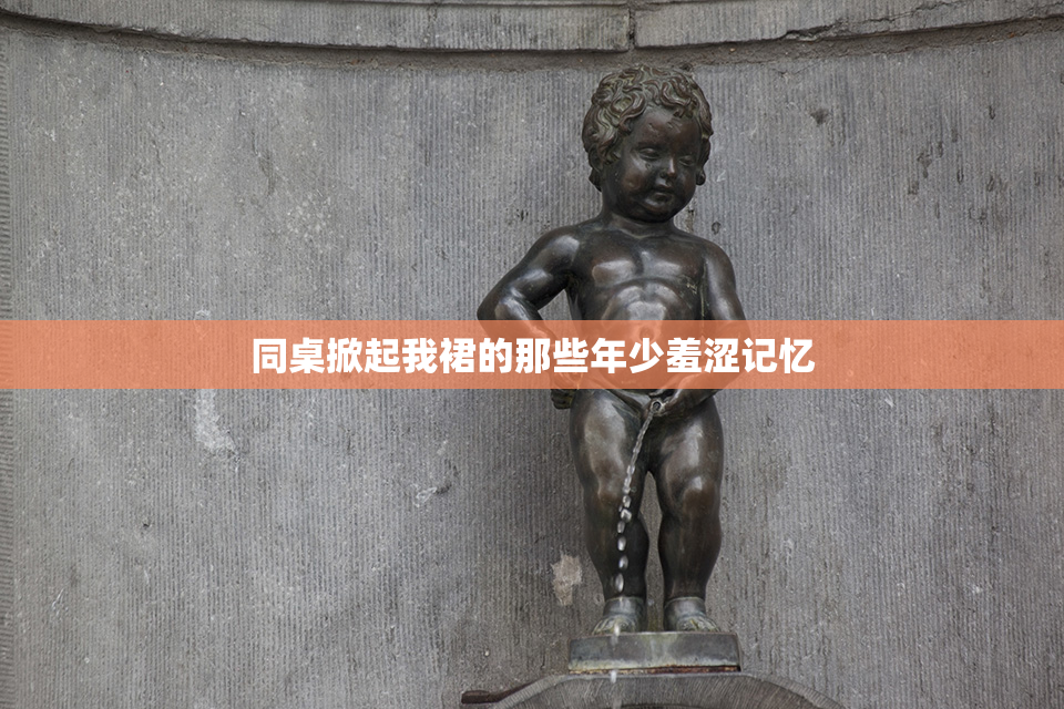 同桌掀起我裙的那些年少羞涩记忆