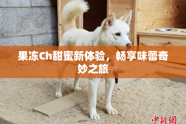 果冻Ch甜蜜新体验，畅享味蕾奇妙之旅